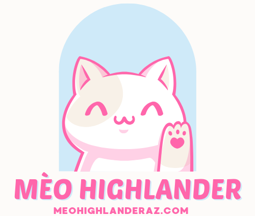 meohighlanderaz.com